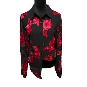 ANEWSTA Black Sheer Button‑Up‎ Blouse w/ Red Rose Embroidery – XL, NWOT